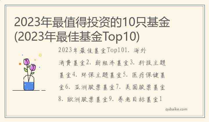 2023年最值得投资的10只基金(2023年最佳基金Top10)