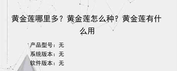 黄金莲哪里多？黄金莲怎么种？黄金莲有什么用