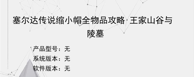 塞尔达传说缩小帽全物品攻略 王家山谷与陵墓