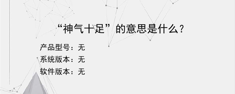 “神气十足”的意思是什么？