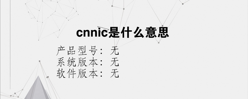 cnnic是什么意思？