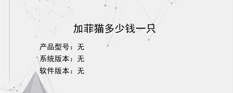 加菲猫多少钱一只？