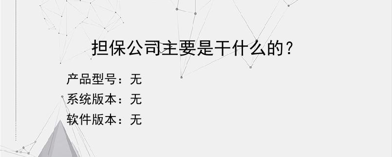 担保公司主要是干什么的？