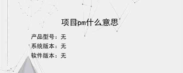 项目pm什么意思