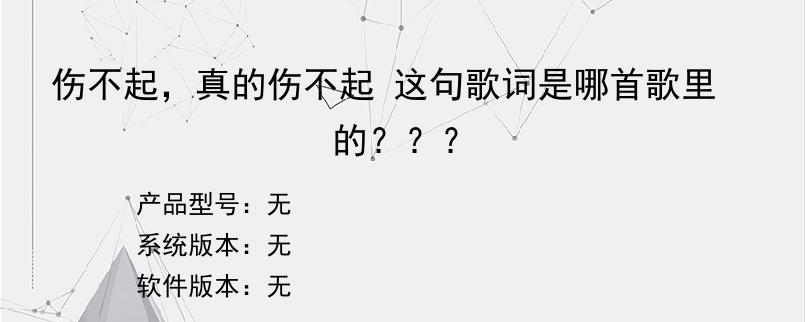 伤不起，真的伤不起 这句歌词是哪首歌里的？？？