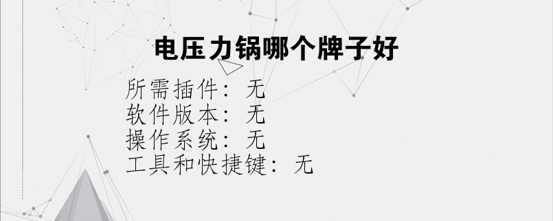 电压力锅哪个牌子好