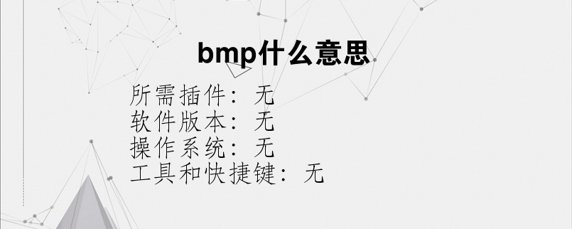 bmp什么意思