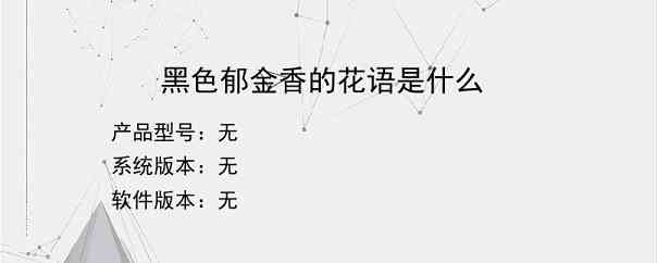 黑色郁金香的花语是什么