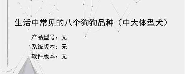 生活中常见的八个狗狗品种（中大体型犬）