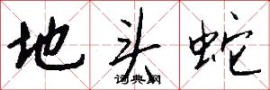 地头蛇怎么写好看