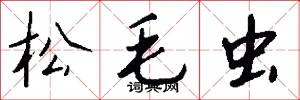 松毛虫怎么写好看