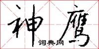 神鹰怎么写好看