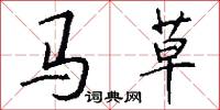 马草怎么写好看