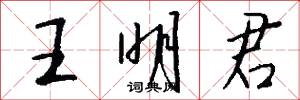 王明君怎么写好看