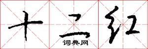 十二红怎么写好看