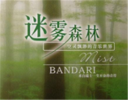 Bandari