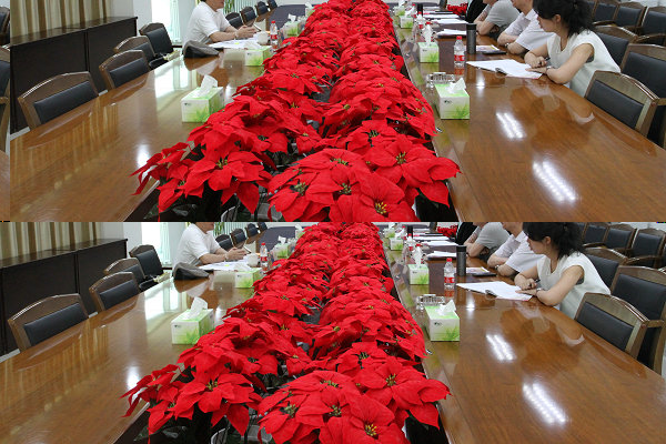 2015年6月8日上午，台湾佛光大学终身教育处许汉宏处长访问学院，会谈现场。