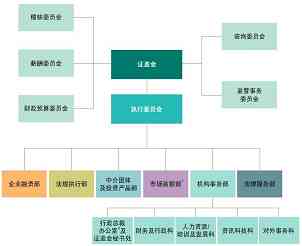组织架构