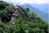秦岭