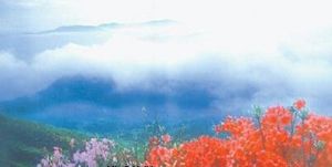 附近景点