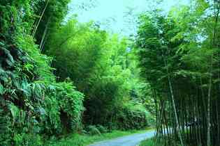 南昆山风光