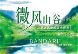 Bandari