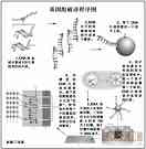 基因组破译程序图