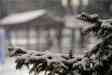 咏雪