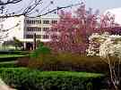 学校风光