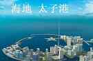 同事