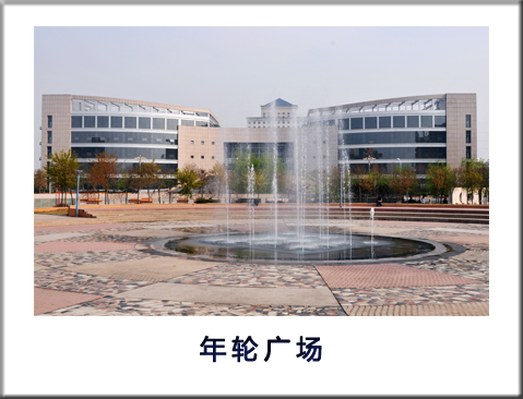 年轮广场