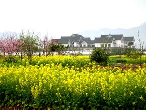 仙居县