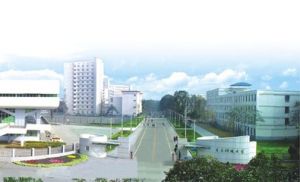 电子科技大学成都学院