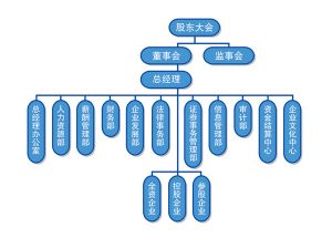 上海复旦复华科技股份有限公司组织结构