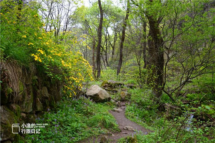西安5条秦岭徒步路线，景色美环境好，公交可达没门票，五一去浪