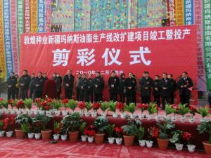 甘肃省敦煌种业股份有限公司
