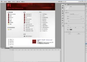 Adobe Flash CS6