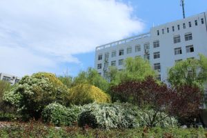 学校风光