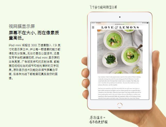 iPad mini5正式推出！7.9寸视网膜屏 A12仿生芯片，2999元起！