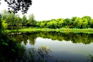 金银湖湿地公园