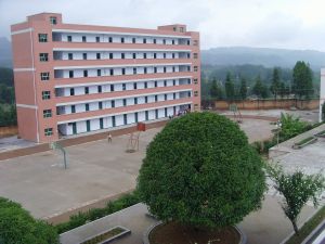 桑梓镇
