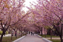 河南农业大学