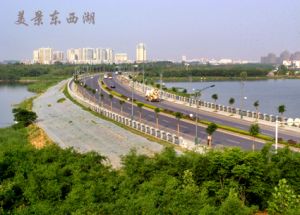 东西湖区