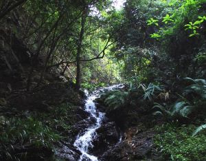 佛手岭风景区