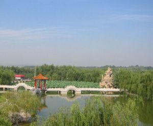 丰原镇