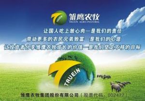 雏鹰农牧集团股份有限公司