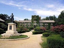 延世大学