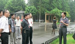 大黄山镇