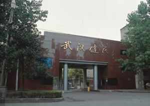 武汉健民药业集团股份有限公司