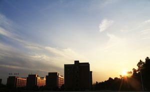 中南林业科技大学涉外学院